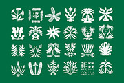 207 FOLK TROPICAL SHAPES AND BORDERS, a Decorative Illustration by Favete Art (Thumbnail 5 of 17)