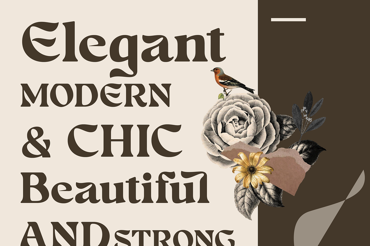Farin Serif, a Serif Font by Creative Foundry (Photo 2 of 8)