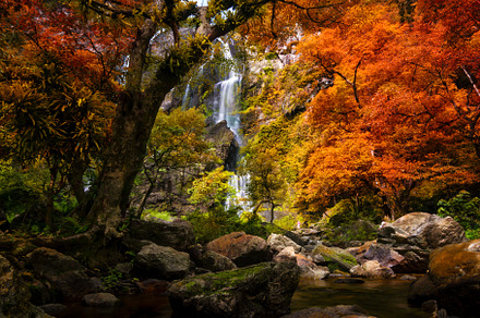 Beautiful waterfall in autumn forest stock photo containing waterfall and