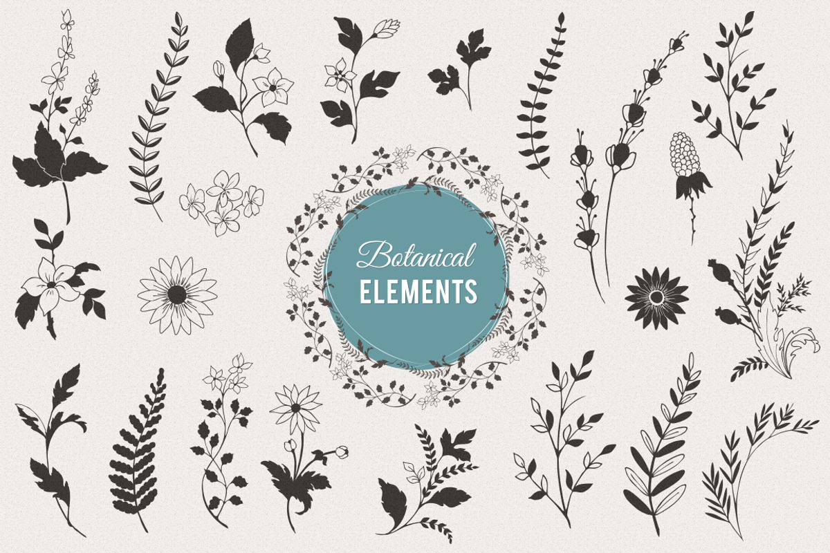 Floral Decorative Elements, a Decorative Illustration by Solana (Photo 1 of 3)