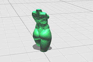 3d Female Torso In Motion