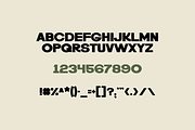 Texicali Straight Hand Drawn Font, a Sans Serif Font by nickqtx (Thumbnail 2 of 4)