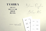Belinda Tamira - Font duo + 20 Logos, a Serif Font by VP Fonts (Thumbnail 2 of 12)