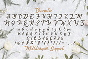 Anjelica Script - Bold Script Font, a Script Font by StringLabs (Thumbnail 12 of 13)