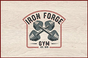 10 Vintage Gym Fitness Badge Logo, a Sport Illustration by Artivon (Thumbnail 6 of 11)
