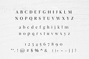 Lucida Modern Serif Font, a Serif Font by blackdahliapress (Thumbnail 4 of 4)