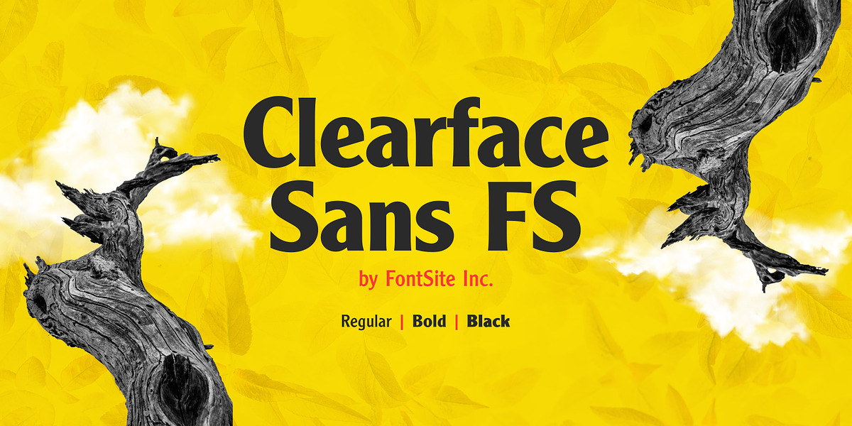 Clearface Sans FS, a Sans Serif Font by FontSite Inc. (Photo 1 of 2)
