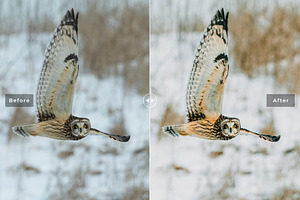 Birds & Wings Lightroom Presets Pack