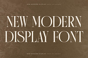 Quartens New Modern Display, a Serif Font by Storytype Studio (Thumbnail 8 of 15)