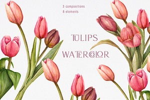 Tulips watercolor clipart