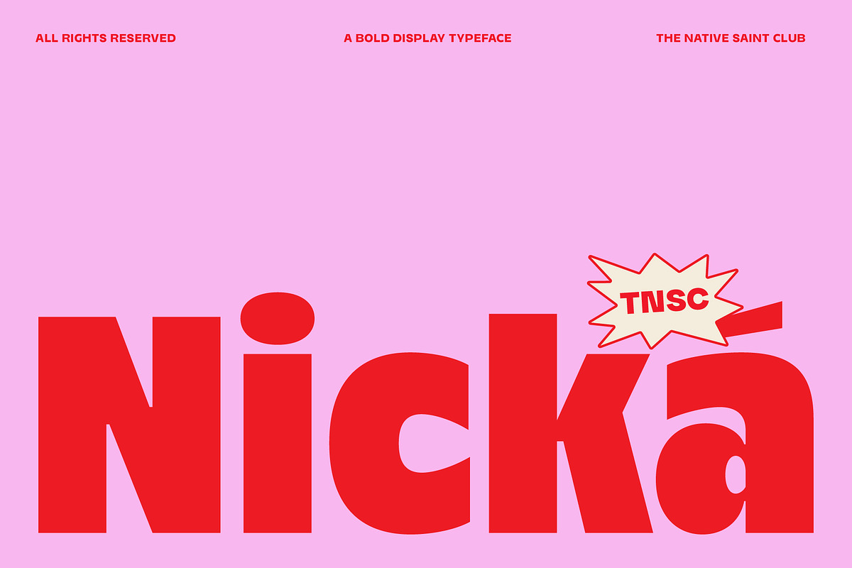 Nicka - Bold Display Sans, a Sans Serif Font by The Native Saint Club (Photo 1 of 16)