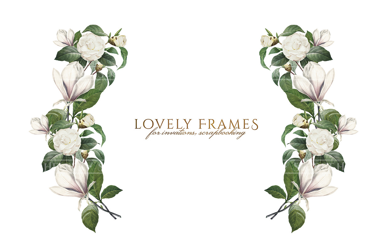 White Floral Clipart, Wreath, Frames, an Illustration by Secret Helper (Photo 6 of 9)