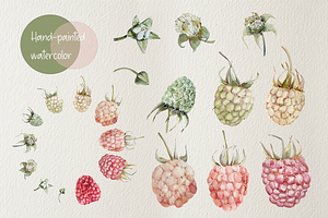 Raspberry Life Cycle Watercolor Set