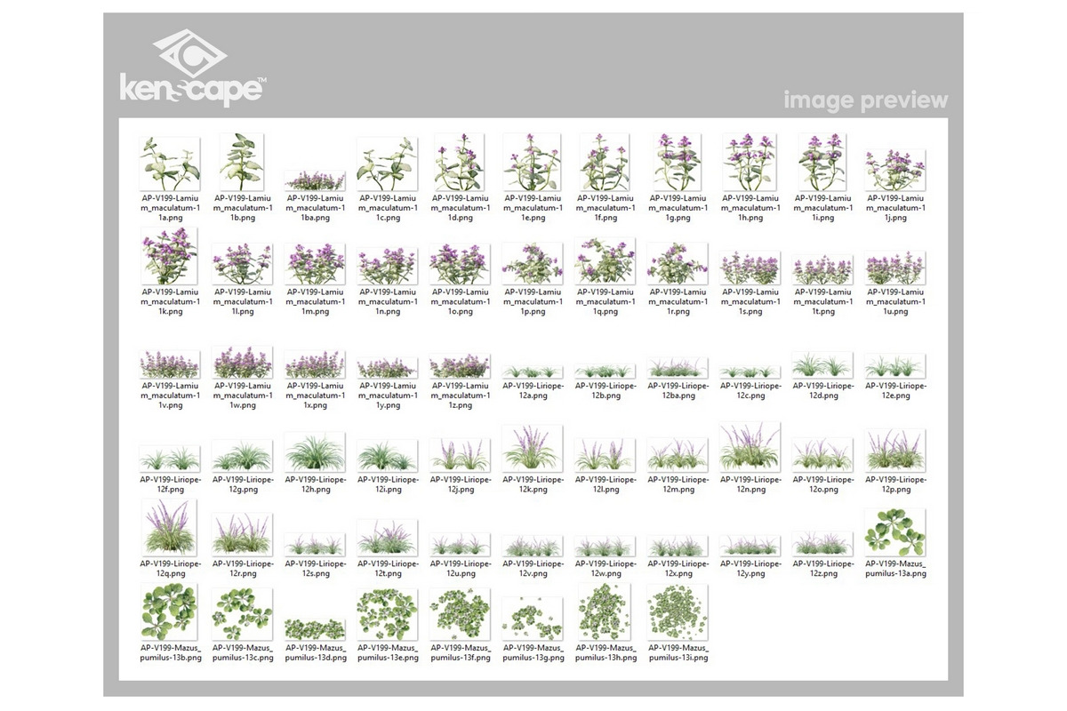 63 Assorted Plants Photo Overlays, a Nature Photo by KenScape (Photo 3 of 3)