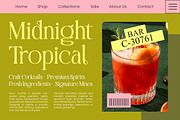Celineso Aroma Elegant Serif, a Serif Font by timelesstype.co (Thumbnail 3 of 10)