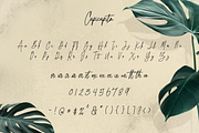 Cupicupita - Signature Font, a Handwritten Font by Badsign Type (Thumbnail 2 of 9)