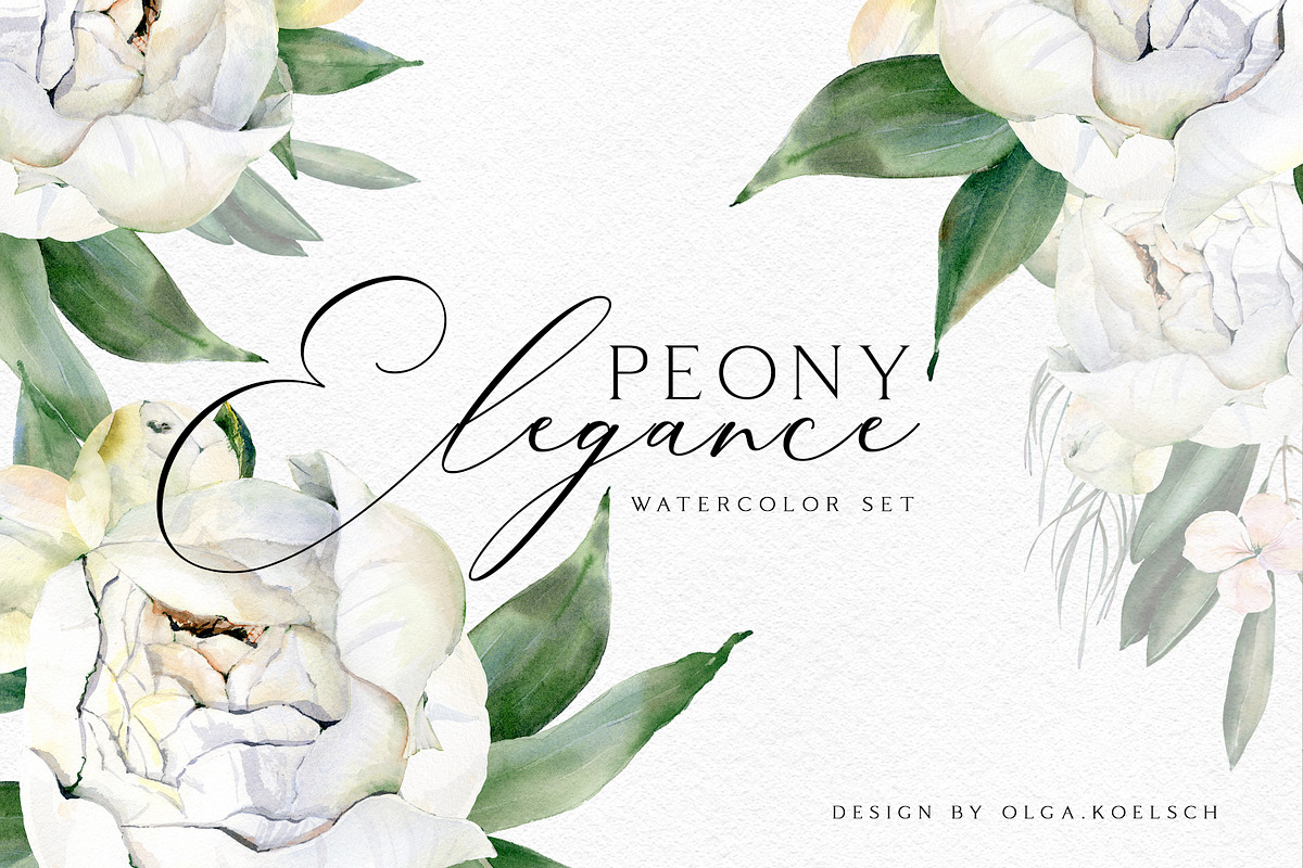 White Peony Elegance, an Illustration by Olga Koelsch (Photo 1 of 5)