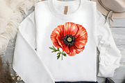 Flowers Clipart Poppy Flowers, an Illustration by DreamCafeArt (Thumbnail 5 of 7)