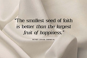 Shailey Morgance Elegant Serif Font, a Serif Font by UICreative (Thumbnail 11 of 13)
