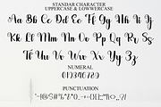 Smart Beauty, a Handwritten Font by InermediaSTUDIO (Thumbnail 6 of 8)
