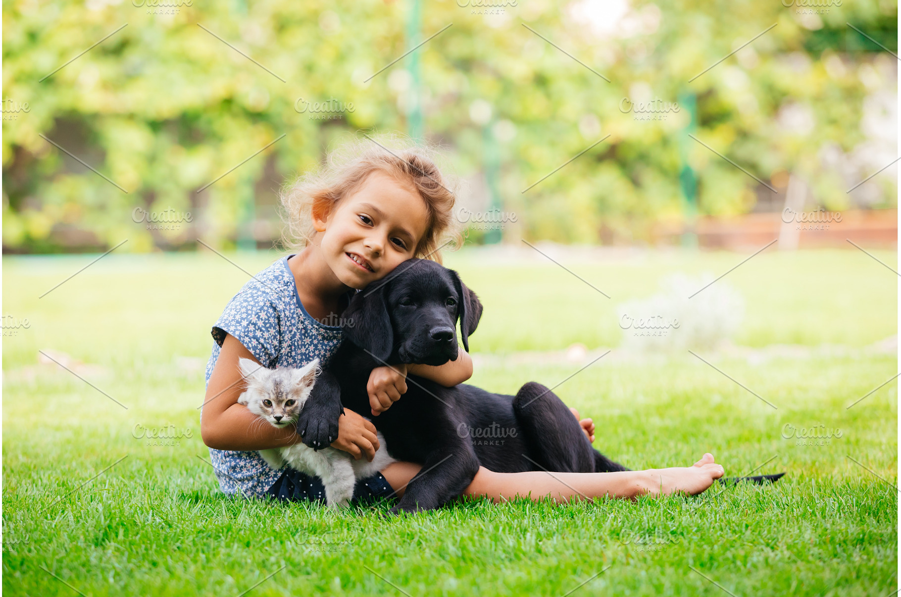 Pets giving their love to small, an Animal Photo by oksix