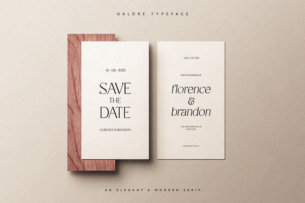 Galore - Elegant Modern Serif, a Serif Font by TypeFounder (Photo 4 of 12)