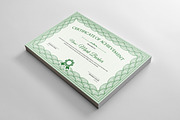 Certificate Word | PSD | AI, a Stationery Template by Curve Design (Thumbnail 3 of 3)