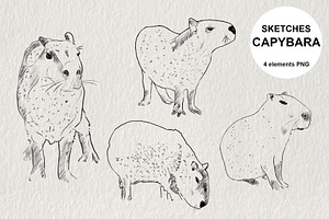 Sketches of capybara animals in PNG, an Animal Illustration by LOKSKIH