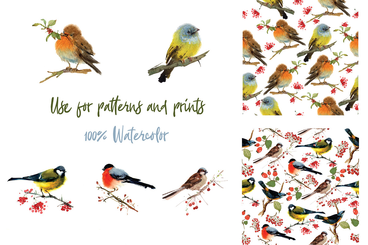 Watercolor forest birds, an Animal Illustration by ivanushka-art (Photo 4 of 5)