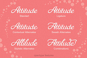 Maudy Script + Bonus, a Script Font by ianmikraz (Thumbnail 3 of 5)