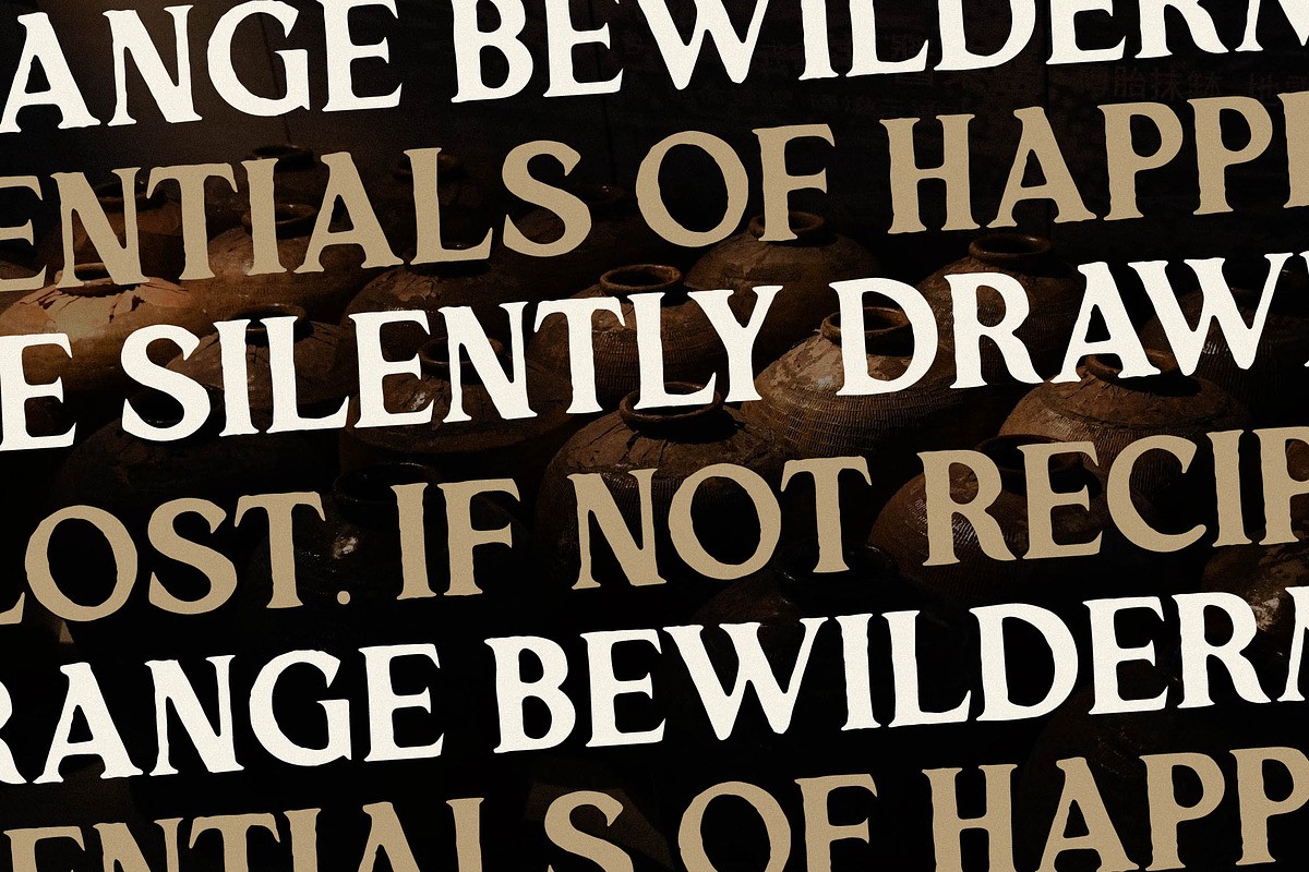 Majestic Kingdome New Display Serif, a Serif Font by Storytype Studio (Photo 9 of 15)