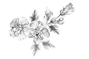 Floral Collection, an Object Graphic by VictoriaKStudio (Thumbnail 2 of 7)