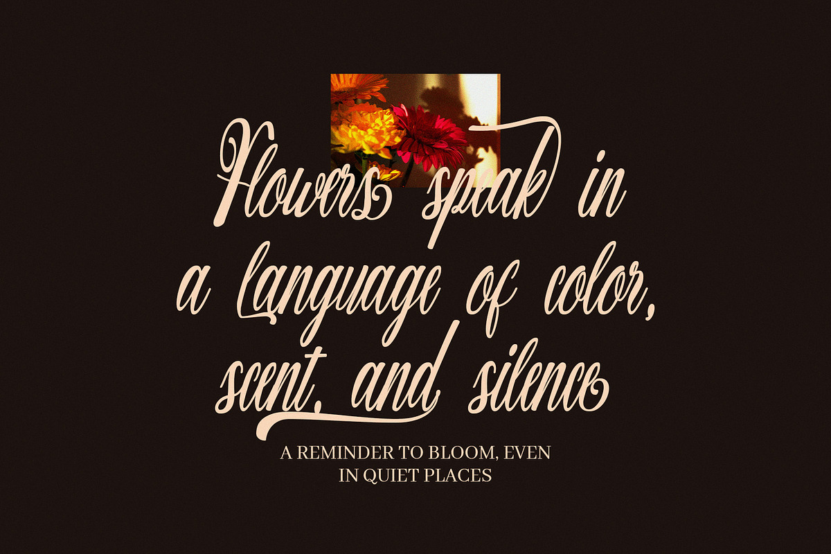 Warkina Script Font, a Script Font by Graphicxell (Photo 3 of 8)