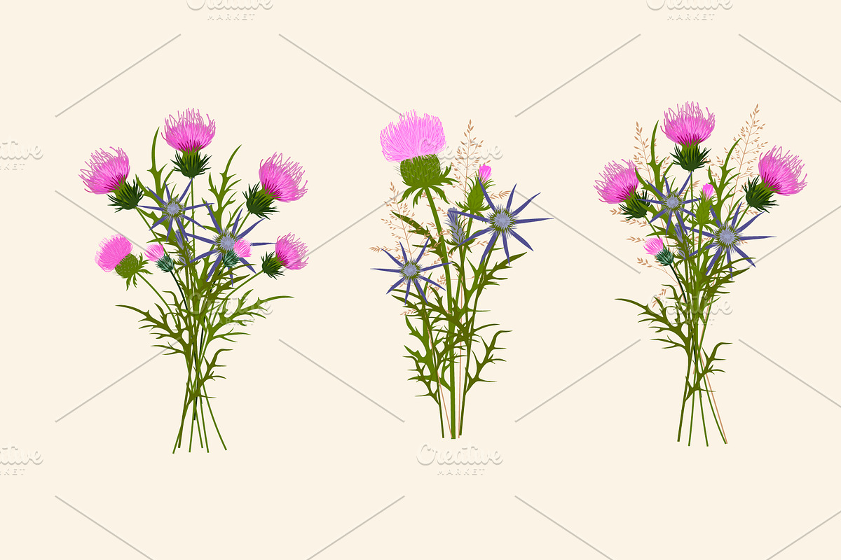 Thistle - meadow flower, an Illustration by MariiaVasilenko (Photo 2 of 6)