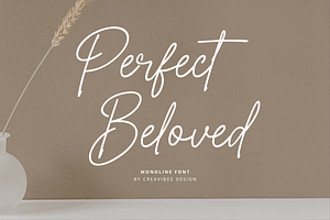 Perfect Beloved - Monoline Font