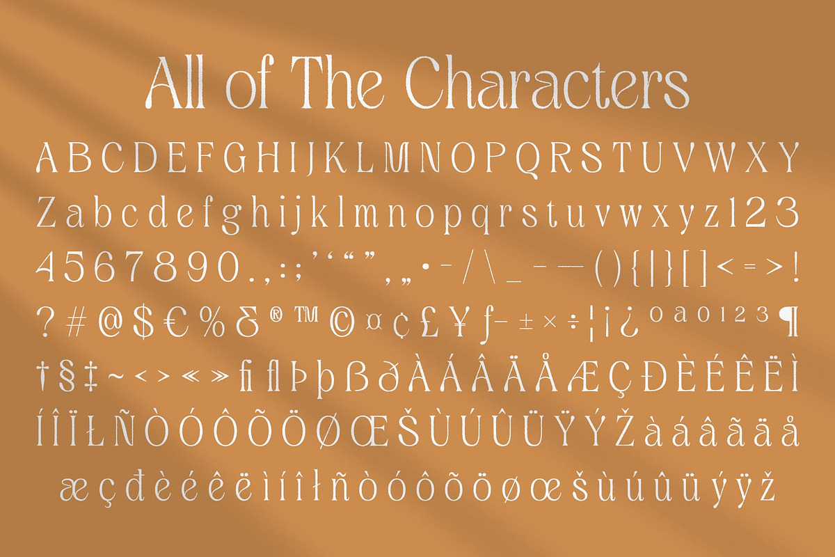 Quenza Rough, a Serif Font by Craft Supply Co. (Photo 8 of 8)