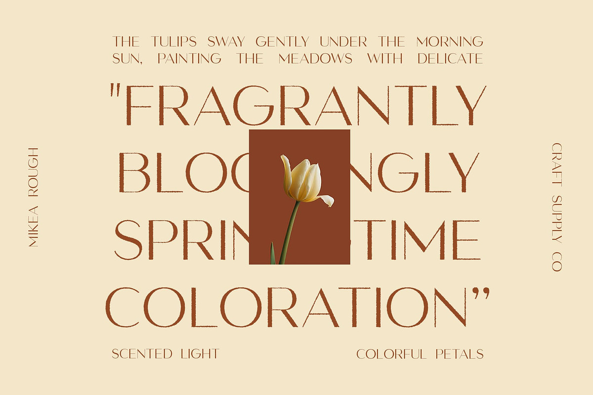 Mikea Rough, a Sans Serif Font by Craft Supply Co. (Photo 3 of 8)