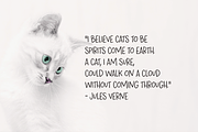Jules Thicket, a wonky caps font, a Sans Serif Font by Rachel White Art (Thumbnail 9 of 9)