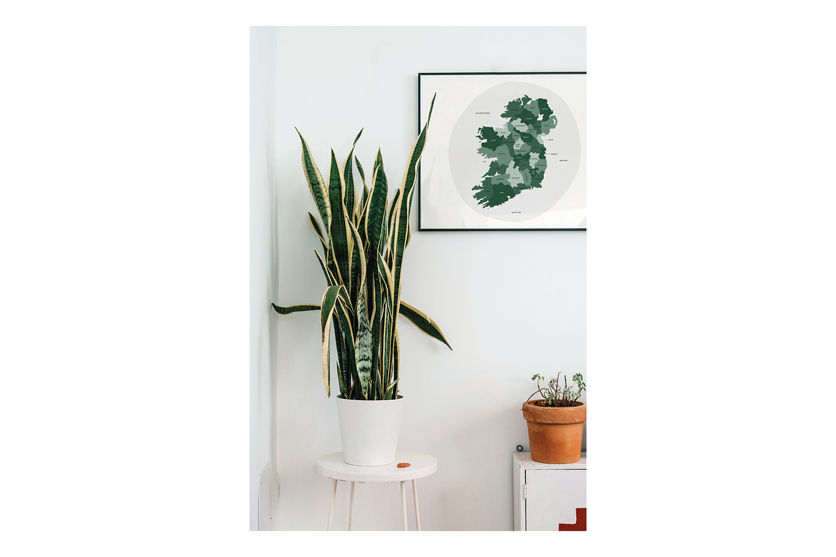 Frame Mockup Bundle - Calico, a Household Mockup by Saguaro Digital (Photo 13 of 15)