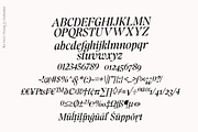 The Story Dream, a Serif Font by joelmaker (Thumbnail 18 of 18)