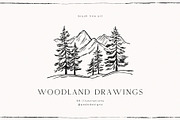 Woodland Drawings, an Animal Illustration by PeDe Designs (Thumbnail 8 of 9)