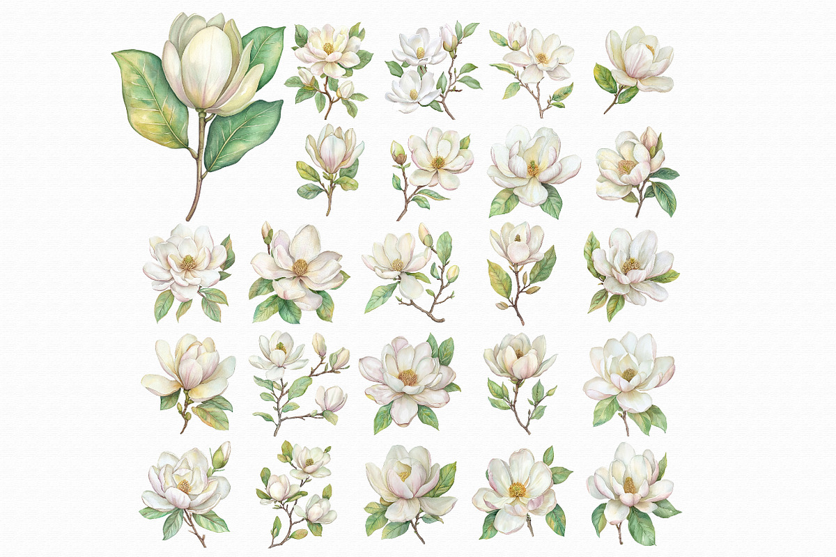 White Magnolia Watercolor Clipart, an Illustration by Libby Wishes (Photo 5 of 7)