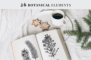 Christmas Elements. Winter Bundle, a Seasonal Illustration by Yevheniia (Thumbnail 5 of 10)