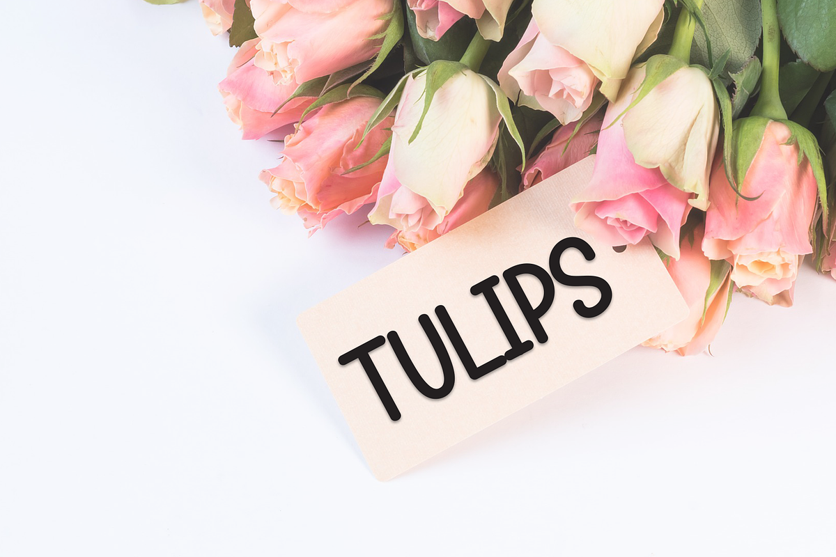 Summer Monday | Script Font, a Script Font by Scratchones (Photo 2 of 8)