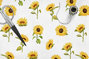 Wildflowers, stripes, checks bandle, a Pattern Graphic by Oksana Dovhopol Art (Thumbnail 17 of 23)