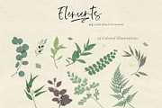 Ferns & Foliage Illustrations, an Illustration by Maggie Stilwell Design (Thumbnail 7 of 10)