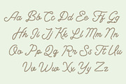 Lasso Monoline, a Script Font by Loudoun Design Co. (Thumbnail 3 of 8)