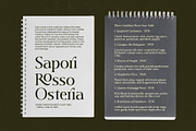 Twilight Vintage Modern Serif, a Serif Font by timelesstype.co (Thumbnail 11 of 20)