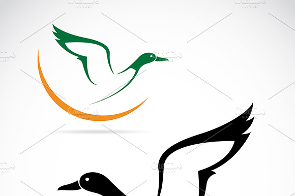 Vector Image Of An Flying Wild Duck