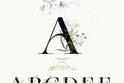 Wildflowers. Watercolor collection, an Illustration by annartdreams (Thumbnail 6 of 14)